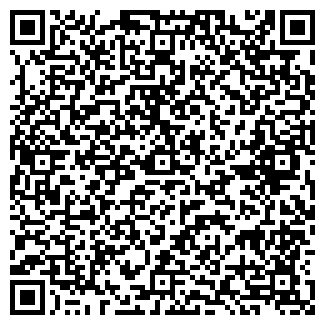 QR-код с контактной информацией организации IRONCAR (Закрыто)