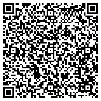 QR-код с контактной информацией организации ИП Денисов Константин
