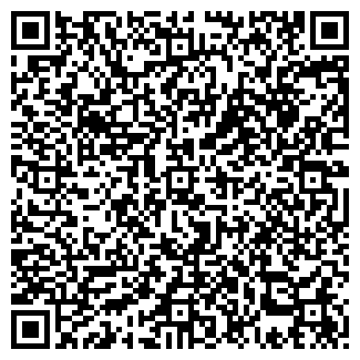 QR-код с контактной информацией организации ИП Литвинов Я.А. Мастер