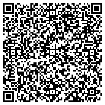 QR-код с контактной информацией организации Davinci Tatoo