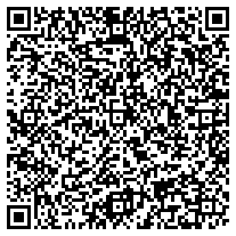 QR-код с контактной информацией организации ИП Сити Курьер
