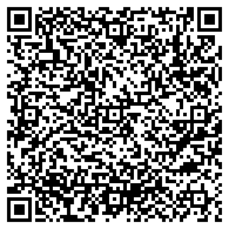 QR-код с контактной информацией организации ИП Слесарчик И.Н.