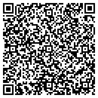 QR-код с контактной информацией организации ООО «Паллант»