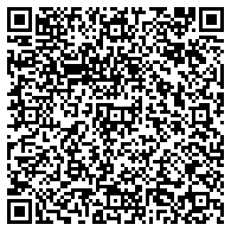 QR-код с контактной информацией организации ООО Tatoo-mania-Ryajsk