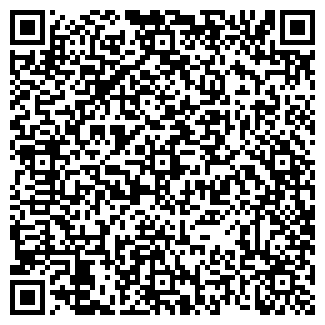 QR-код с контактной информацией организации ИП Дон Пиццерино