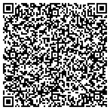 QR-код с контактной информацией организации ИП Web-студия «SkyLive»