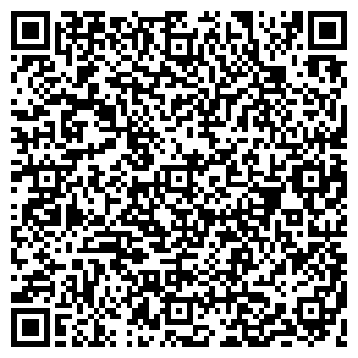 QR-код с контактной информацией организации ООО Сибирь-ЭМ