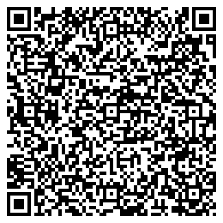 QR-код с контактной информацией организации ИП ИП.Алишер