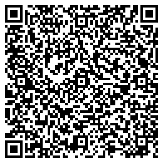 QR-код с контактной информацией организации ООО Моторгаз33
