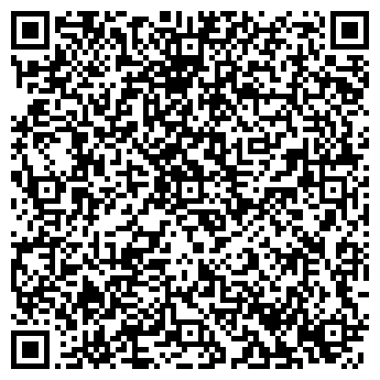 QR-код с контактной информацией организации ООО ДСМ-Сервис
