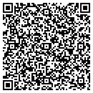 QR-код с контактной информацией организации ООО Тайле Рус