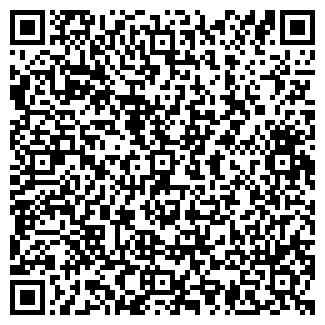 QR-код с контактной информацией организации Такси Копейка