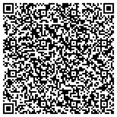 QR-код с контактной информацией организации ИП Мобильный Планетарий Шарья