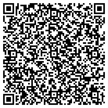 QR-код с контактной информацией организации ИП Media Shark
