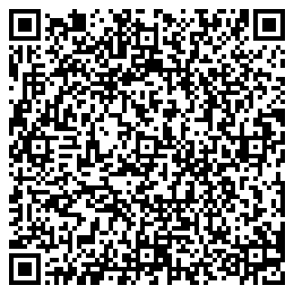 QR-код с контактной информацией организации ИП РемБытСервис (Закрыто)