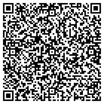 QR-код с контактной информацией организации ИП Мишенин В.С.