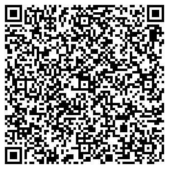 QR-код с контактной информацией организации LTD Alem Полиграфия