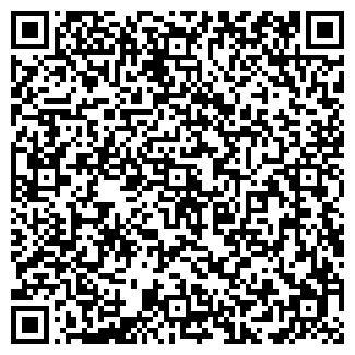 QR-код с контактной информацией организации ИП Смайлик Астана
