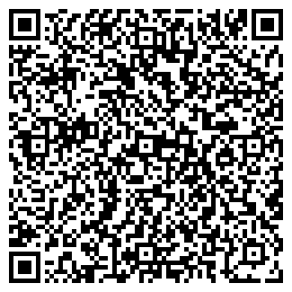 QR-код с контактной информацией организации ИП Борский мастер