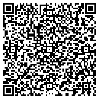 QR-код с контактной информацией организации ИП Такси ШКЛОВ