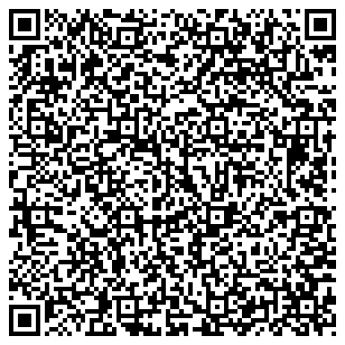 QR-код с контактной информацией организации Субъект предпринимательской деятельности Компания «Краски жизни»