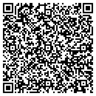 QR-код с контактной информацией организации ИП Роман
