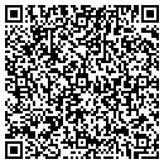 QR-код с контактной информацией организации Шик-Трэвел