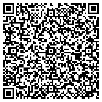 QR-код с контактной информацией организации Wallpaper1