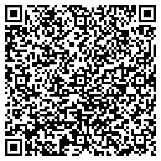 QR-код с контактной информацией организации Субъект предпринимательской деятельности Mэри Эл +