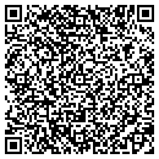 QR-код с контактной информацией организации Интернет магазин МОБИЛЛАК "mobilluck"