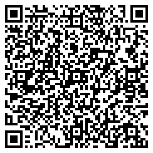 QR-код с контактной информацией организации Дом Моды НУРАСЕМ, ТОО
