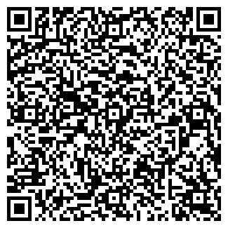 QR-код с контактной информацией организации Общество с ограниченной ответственностью OOO VSI