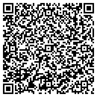 QR-код с контактной информацией организации Субъект предпринимательской деятельности IП АЛарМіка