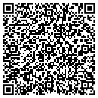 QR-код с контактной информацией организации Субъект предпринимательской деятельности Техносервис