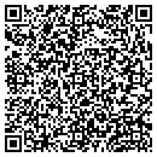 QR-код с контактной информацией организации ИП Сулейманов Р. В.