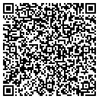 QR-код с контактной информацией организации ИП "КИМ"