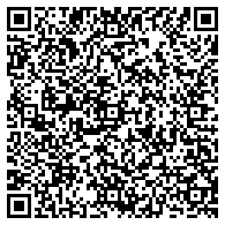 QR-код с контактной информацией организации ИП Шардаров Е.С.