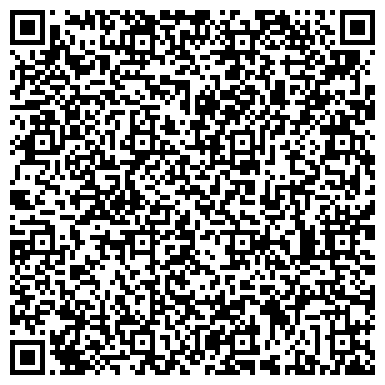 QR-код с контактной информацией организации ЧП «ALEX-BILLIARD» Воплощение Вашей мечты о бильярде!