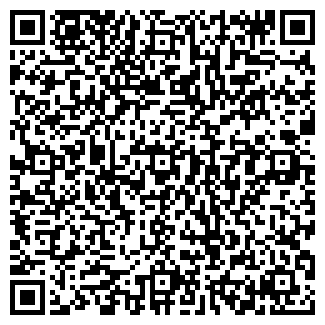 QR-код с контактной информацией организации Субъект предпринимательской деятельности Azucar