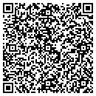 QR-код с контактной информацией организации «Светлана»