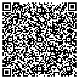 QR-код с контактной информацией организации ип Мишагин