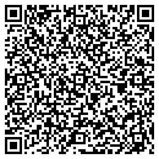 QR-код с контактной информацией организации ИП Борисов