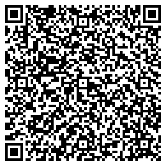 QR-код с контактной информацией организации Частное предприятие "Программист"