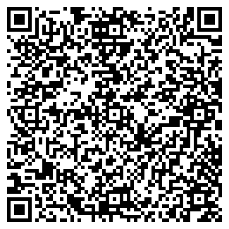 QR-код с контактной информацией организации Мир сайтов
