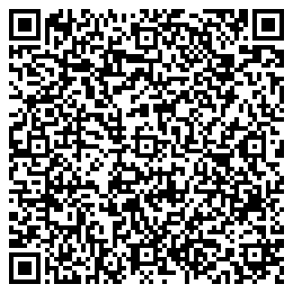 QR-код с контактной информацией организации VIP Малюк