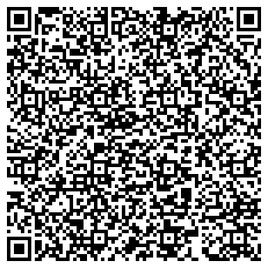 QR-код с контактной информацией организации Шихолай А. П. (DreamHost), ИП