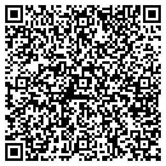 QR-код с контактной информацией организации Премиум сайт