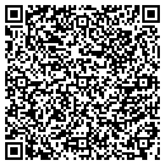 QR-код с контактной информацией организации "Феникс"