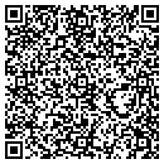 QR-код с контактной информацией организации svetluchok