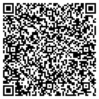 QR-код с контактной информацией организации cкрипач